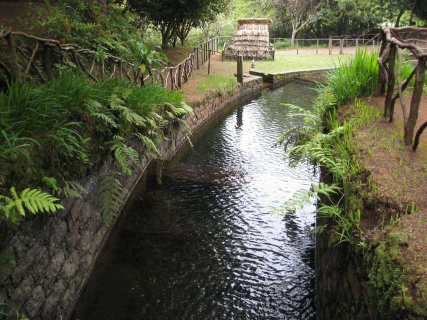 Queimadas Caldeirao Verde Full day hike - From your Funchal hotel to Queimadas