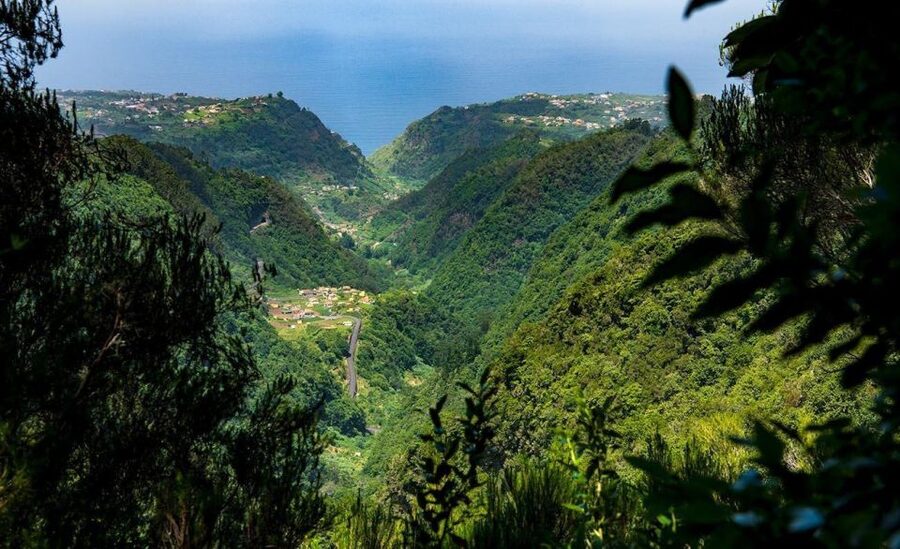 Queimadas Caldeirao Verde Full day hike - Walking through Madeira’s Laurissilva forest