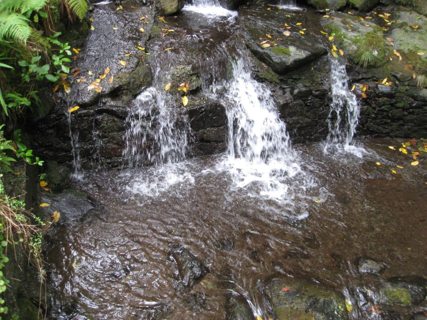 Queimadas Caldeirao Verde Full day hike - Is this hike good value?