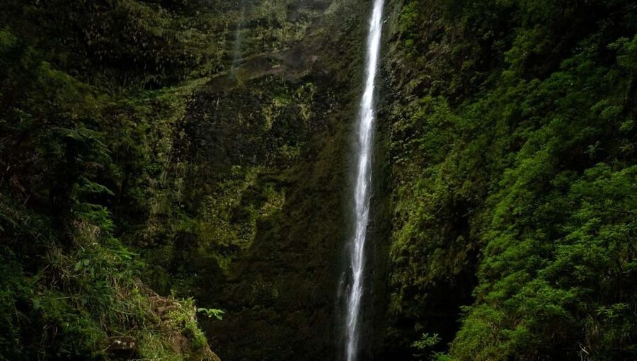 Queimadas Caldeirao Verde Full day hike - What to bring and what to leave behind