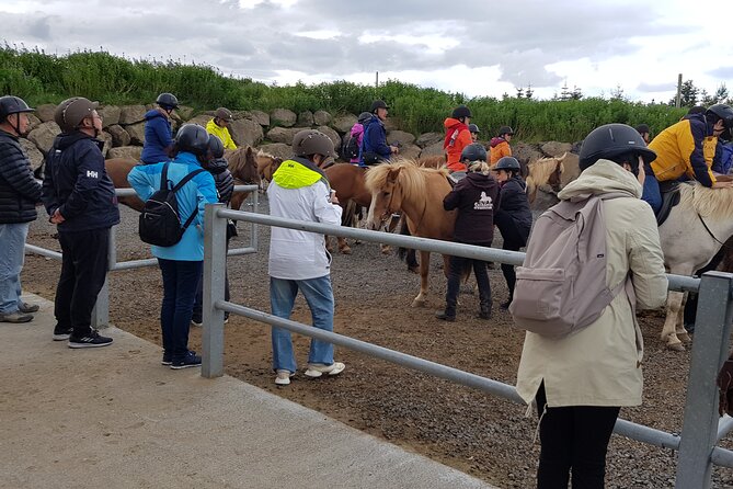 Red Lava Horse Riding Tour From Reykjavik - Heiðmörk and the red lava hills