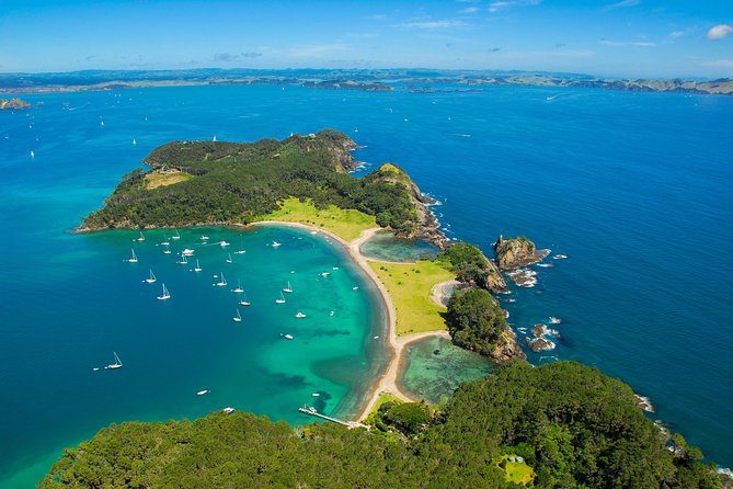 Redwood Forest , Blue Springs & Huka Falls Day Tour from Auckland - What the $372.34 price means