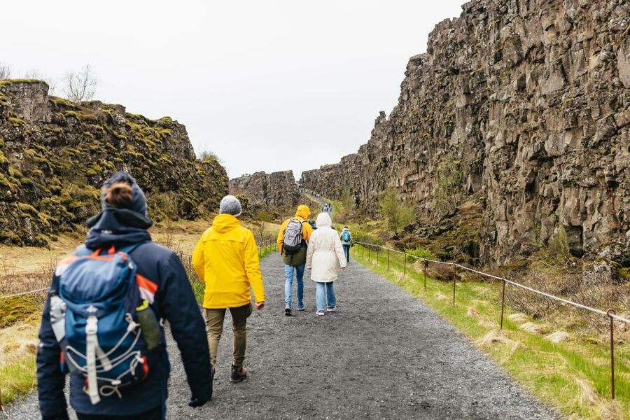 Reykjavik: Golden Circle, Crater & Blue Lagoon Minibus Tour - Who should book this day trip?