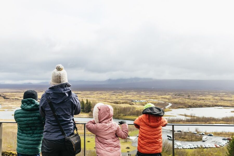 Reykjavik: Golden Circle, Crater & Blue Lagoon Minibus Tour - Weather, clothing, and walking needs