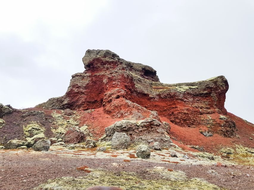 Reykjavik: Red Lava Horse Riding Tour - Red lava fields, friendly horses, and a short drive from Reykjavik