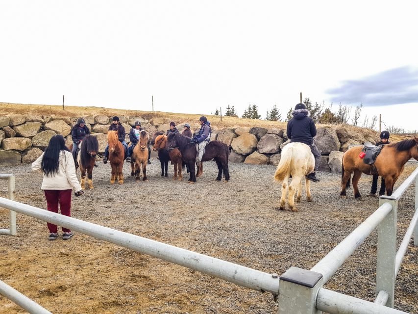 Reykjavik: Red Lava Horse Riding Tour - Guides who keep beginners at ease