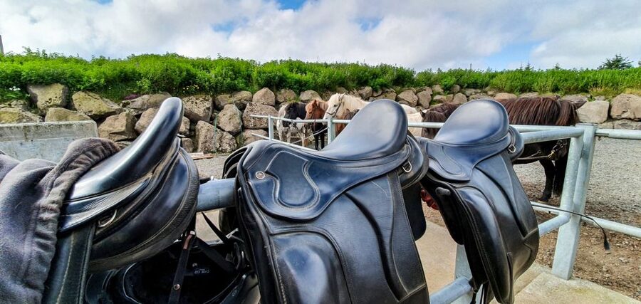 Reykjavik: Red Lava Horse Riding Tour - What the $142 price really includes
