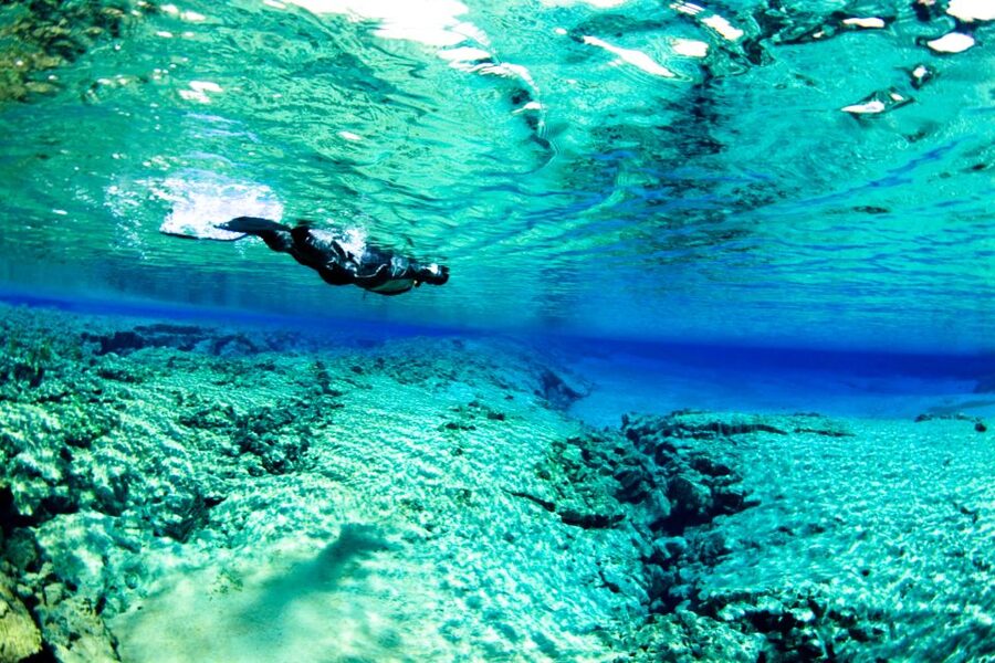 Reykjavik: Silfra Snorkeling & Lava Tunnel Adventure Combo - My practical verdict