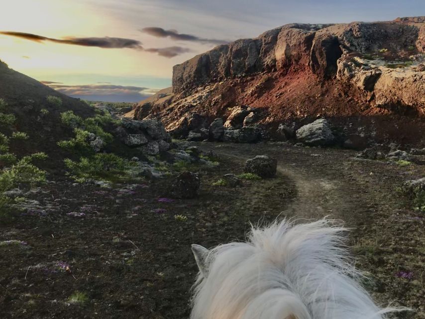 Reykjavik: Small-Group Horse Volcano Riding Tour with Pickup - Key points to know before booking