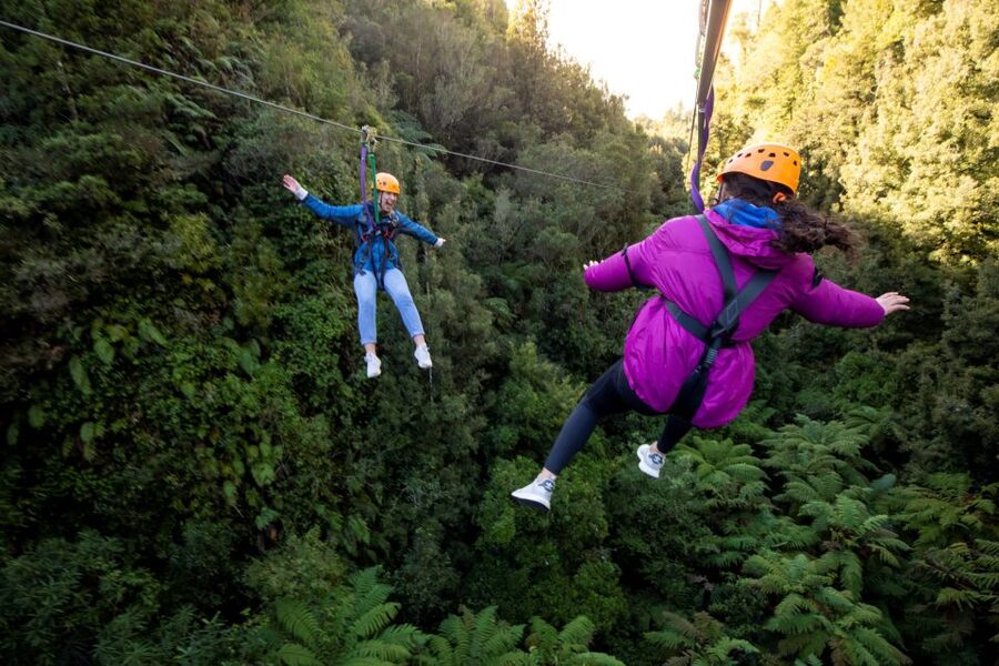 Rotorua: 6 Ziplines, 400m Tandem, Cliff Walk & Swing Bridges - Key points at a glance