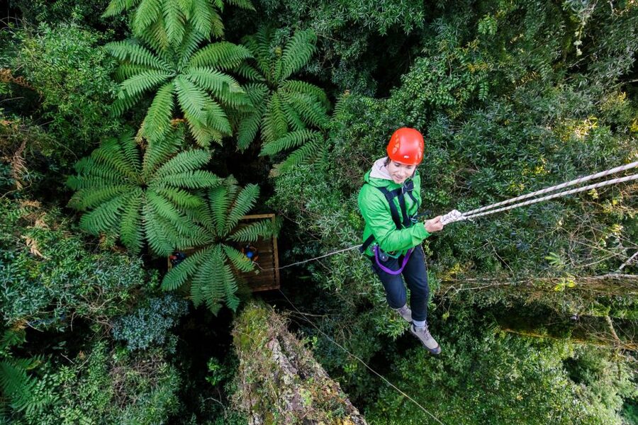 Rotorua: 6 Ziplines, 400m Tandem, Cliff Walk & Swing Bridges - The controlled descent is not a standard zipline finish