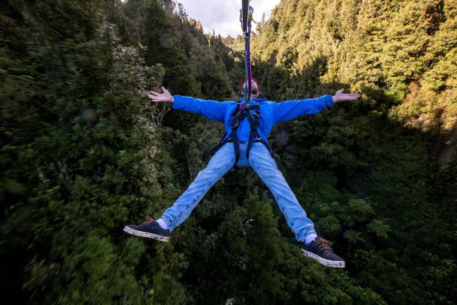 Rotorua: 6 Ziplines, 400m Tandem, Cliff Walk & Swing Bridges - The forest story matters as much as the thrill