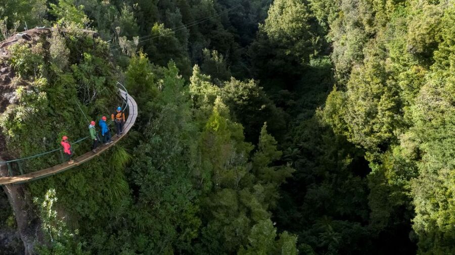 Rotorua: 6 Ziplines, 400m Tandem, Cliff Walk & Swing Bridges - The 400m tandem ride is the big payoff