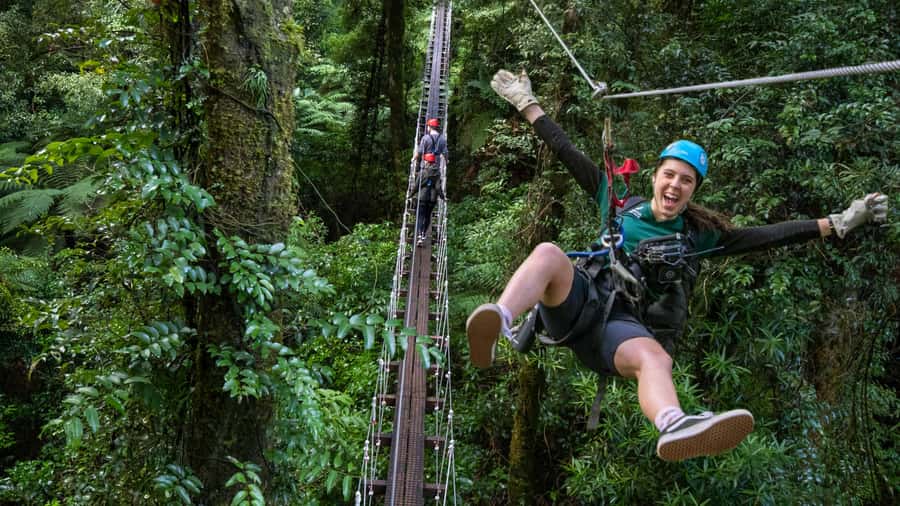 Rotorua: 6 Ziplines, Swing-Bridges & Wildlife Encounters - The safety briefing and the first flights