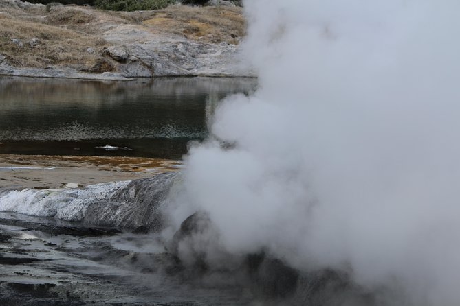 Rotorua and Waitomo Caves Day Trip from Auckland -Smaller Groups - The minibus makes the distance manageable