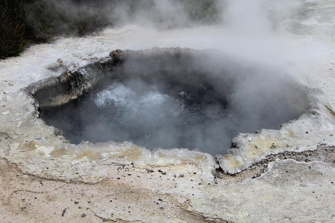 Rotorua and Waitomo Caves Day Trip from Auckland -Smaller Groups - What the price includes, and what it does not