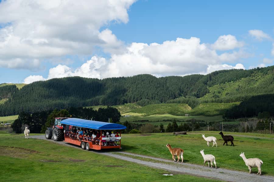 Rotorua: Authentic Kiwi Farm Experience at the Agrodome - Key points to know before you go