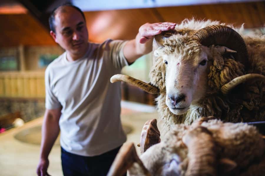 Rotorua: Authentic Kiwi Farm Experience at the Agrodome - Should you book the Agrodome?