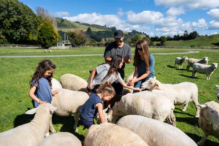 Rotorua: Authentic Kiwi Farm Experience at the Agrodome - The farm trailer ride across 350 acres