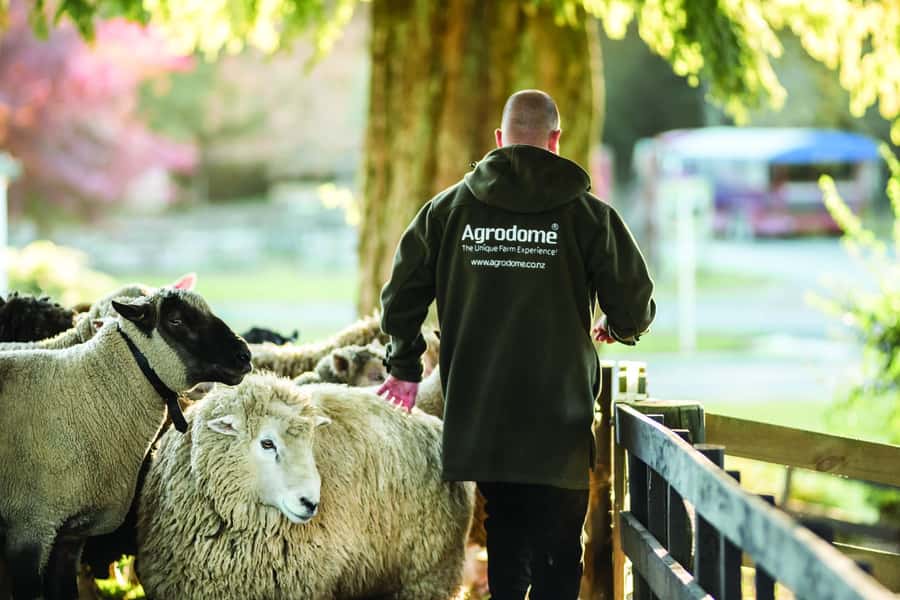 Rotorua: Authentic Kiwi Farm Experience at the Agrodome - Who will enjoy this experience most