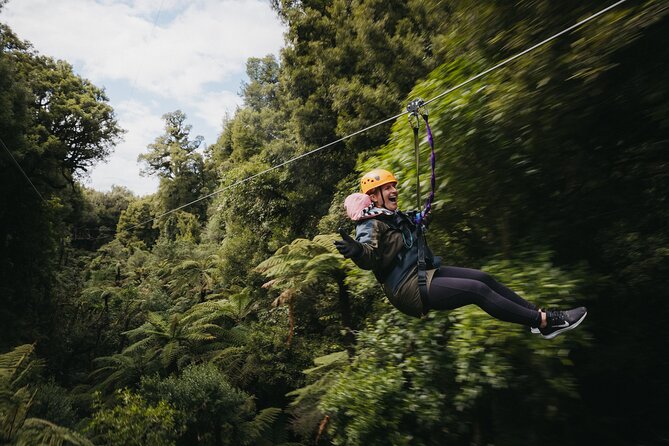 Rotorua Canopy Tours: 2.5Hour Native Forest Zipline Adventure - Entering Rotorua’s ancient forest