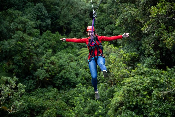 Rotorua Canopy Tours: 2.5Hour Native Forest Zipline Adventure - Wet weather and practical comfort