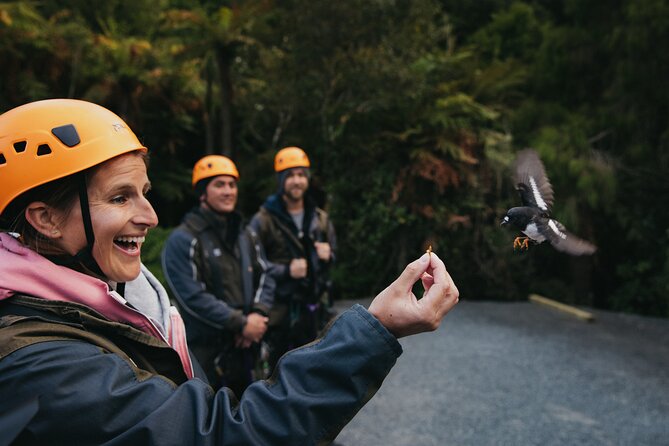 Rotorua Canopy Tours: 2.5Hour Native Forest Zipline Adventure - The free photos are more useful than they sound