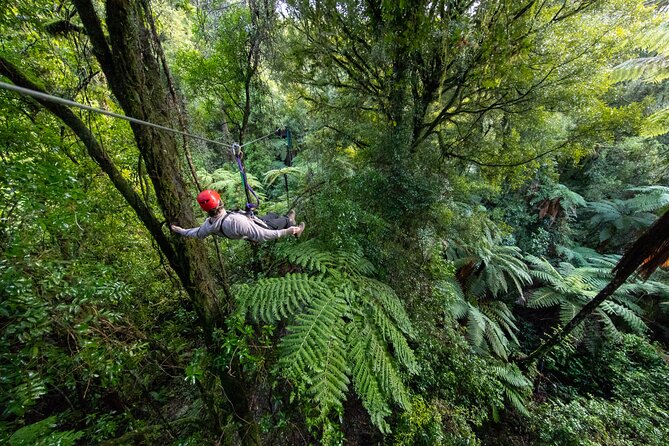 Rotorua Canopy Tours: 2.5Hour Native Forest Zipline Adventure - The guides set the tone