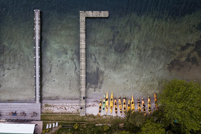 Rotorua: Daytime Scenic Lake Rotoiti Kayak Tour - Two hours paddling along Lake Rotoiti