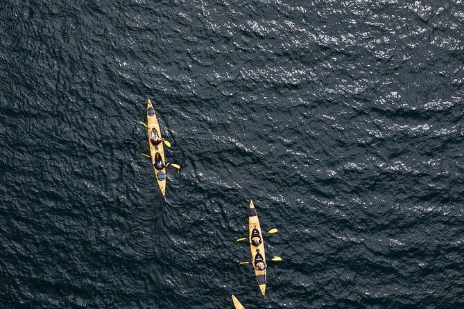 Rotorua: Daytime Scenic Lake Rotoiti Kayak Tour - What the $101 price gets you