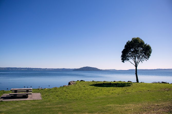 Rotorua Duck Boat Guided City and Lakes Tour - Lake Okareka and the view toward Mt. Tarawera