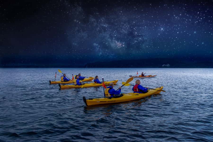 Rotorua: Evening Starlight Gourmet Kayak Tour with dinner - Paddling through birdlife and local stories