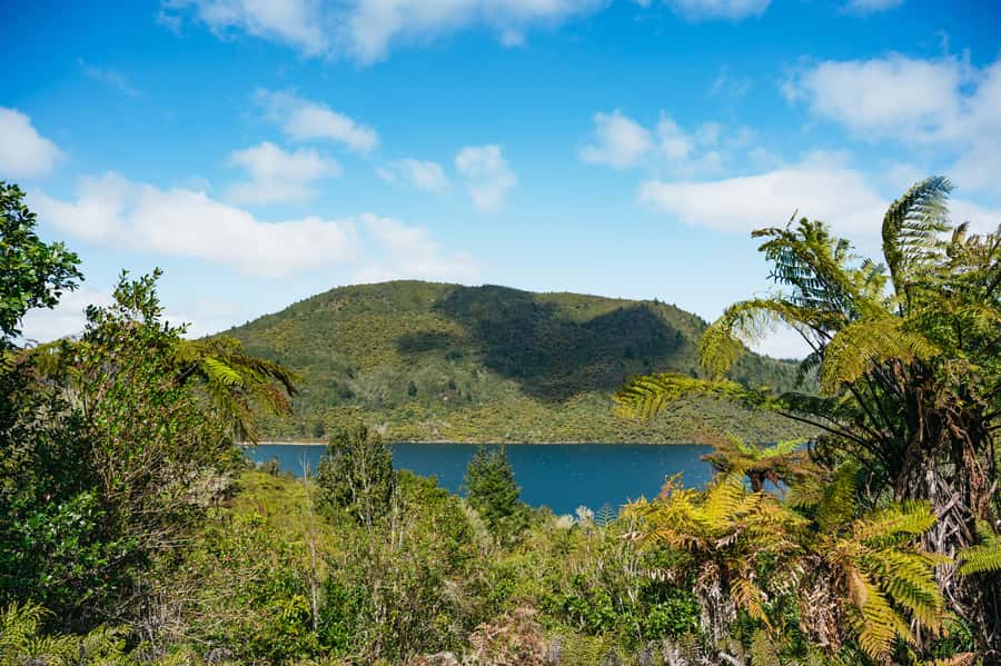 Rotorua: Explore The Lakes Half-Day Morning Tour - Why this morning tour works well in Rotorua
