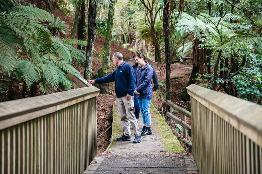 Rotorua: Explore The Lakes Half-Day Morning Tour - The Blue and Green Lakes beside Mount Tarawera