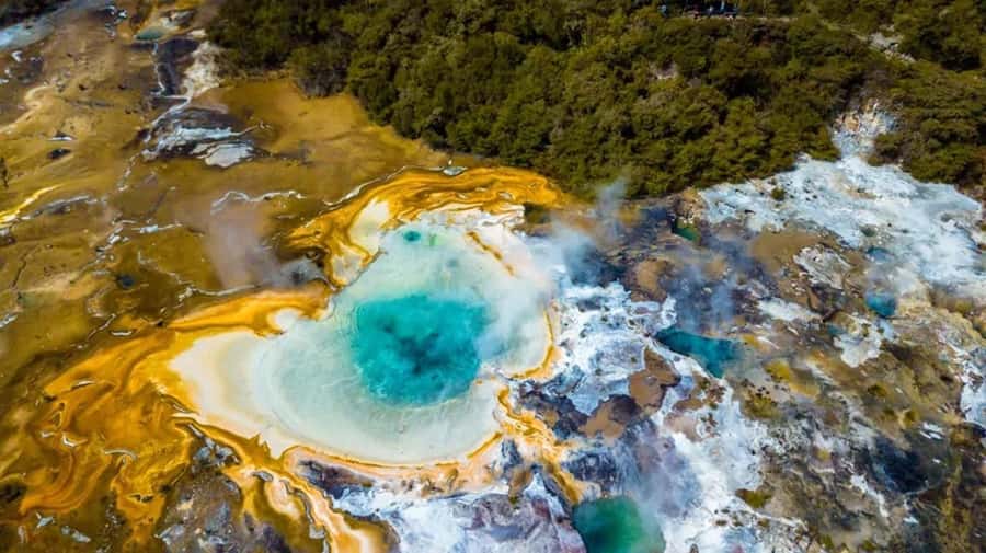 Rotorua: Floatplane Flight with Orakei Korako Landing - Why this flight gives you a different Rotorua view