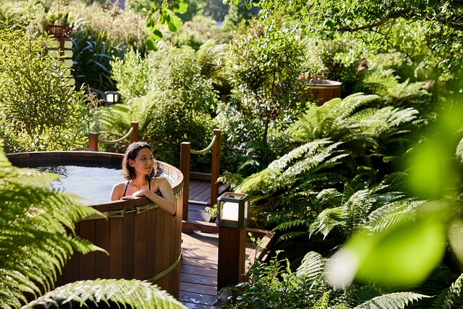Rotorua Forest Hot Tub Soak at Secret Spot - Daytime, sunset, or evening?