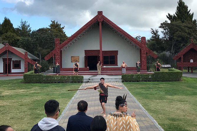 Rotorua Geothermal Wonderland Tour – Departs Tauranga - From Mount Maunganui to Tauranga Harbour