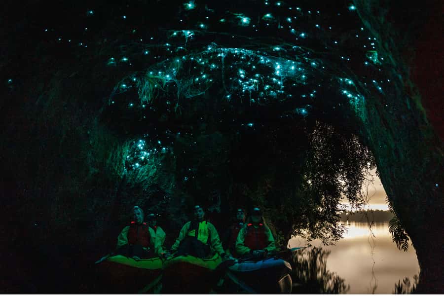 Rotorua: Glow Worm Adventure Kayak - Key points to know before you book