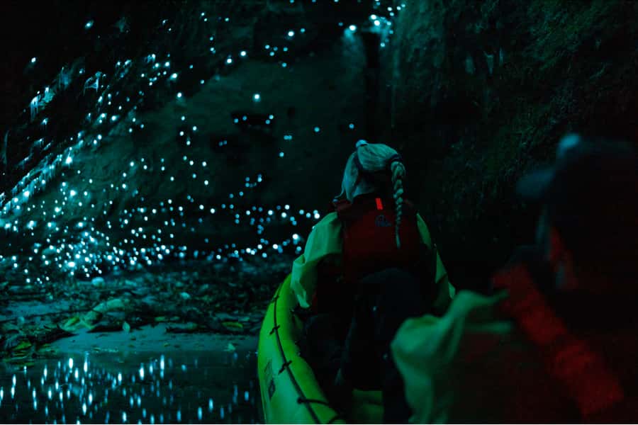 Rotorua: Glow Worm Adventure Kayak - Entering the glow worm caves