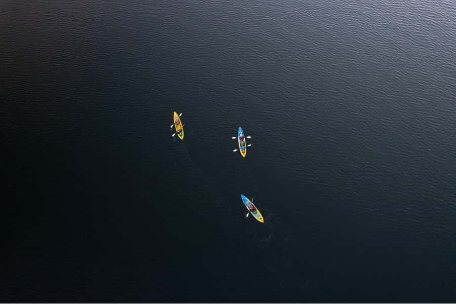 Rotorua: Glow Worm Kayak Tour - Should you book the Rotorua Glow Worm Kayak Tour?