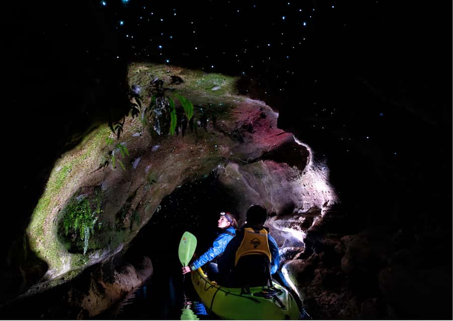 Rotorua: Glow Worm Kayak Tour - Stars, constellations, and the return paddle