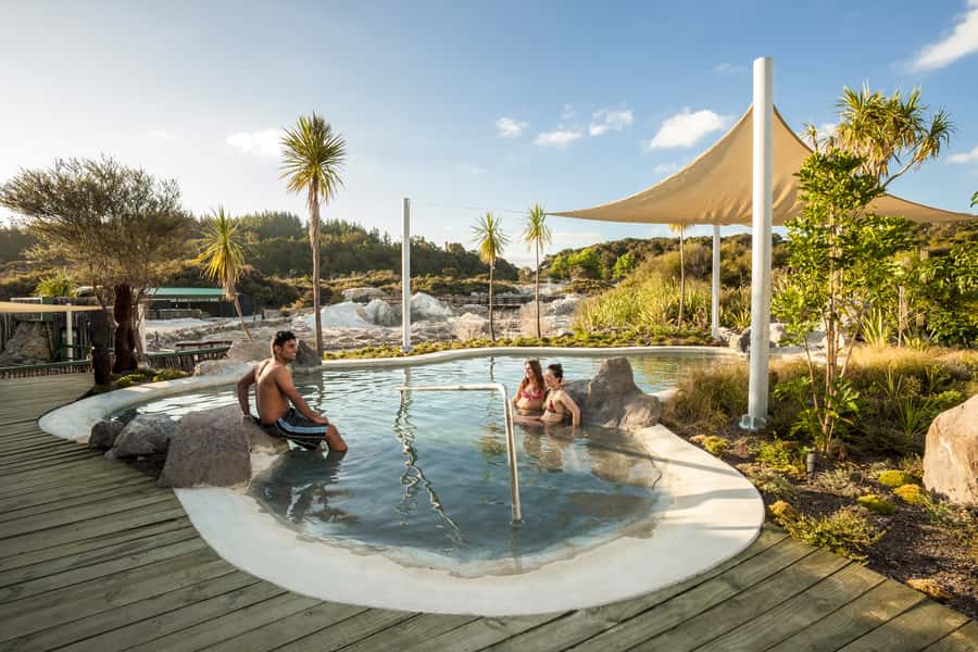 Rotorua: Hell's Gate Outdoor Mud Spa & Guided Walk - Māori carving and the cultural side of the visit