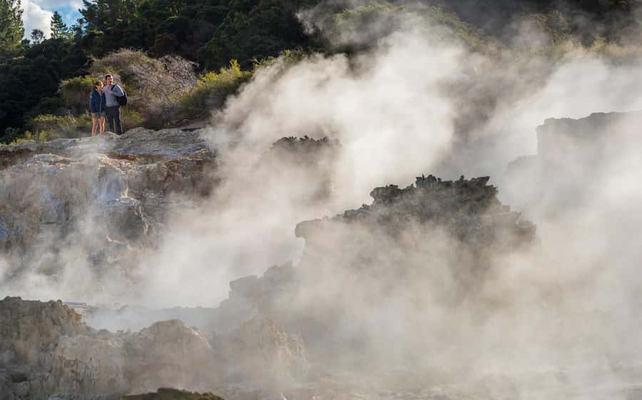 Rotorua: Hell's Gate Outdoor Mud Spa & Guided Walk - How the $68 price works for you