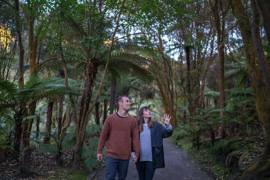 Rotorua: Hell's Gate Outdoor Mud Spa & Guided Walk - Walking through Rotorua’s most active thermal area