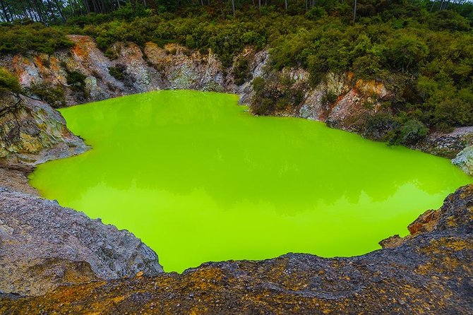 Rotorua Highlights inc. Waiotapu & Te Puia Day Tour from Auckland - The return to Auckland and the real cost of convenience