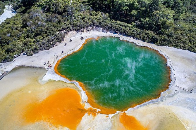 Rotorua Highlights inc. Waiotapu & Te Puia Day Tour from Auckland - Lunch and the move to Te Puia
