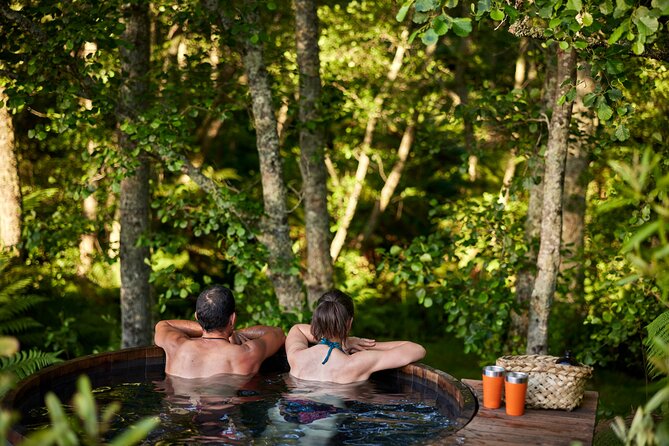 Rotorua Highlights Tour from Auckland with Optional Extras - Through Waikato farming country