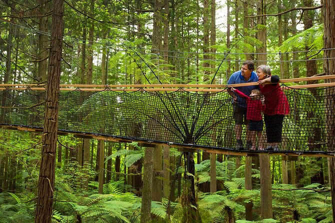 Rotorua Highlights Tour from Auckland with Optional Extras - Redwoods and Secret Spot Hot Tubs
