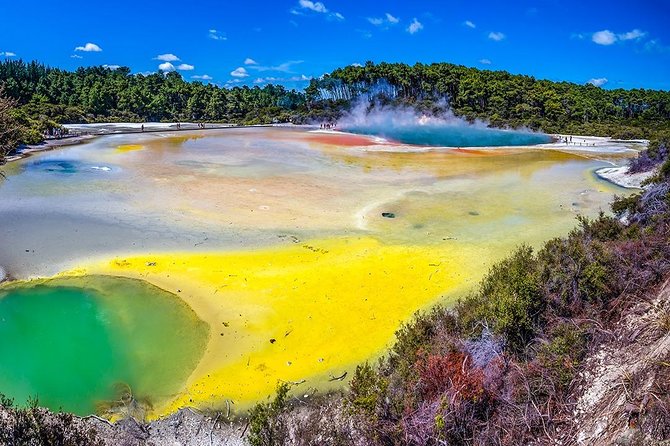 Rotorua Highlights Tour from Auckland with Optional Extras - The 6:30 am start from Auckland