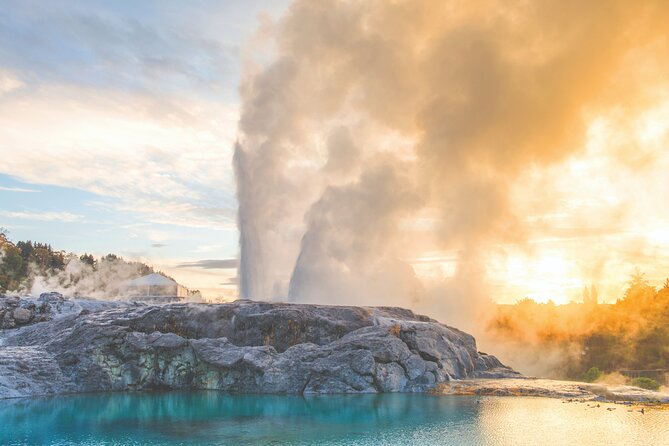 Rotorua Highlights Tour inc. Te Puia Tour, Lunch & Cultural Show - Why this Auckland to Rotorua day trip works